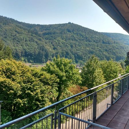 Hotel Zum Neckartal Heidelberg Extérieur photo