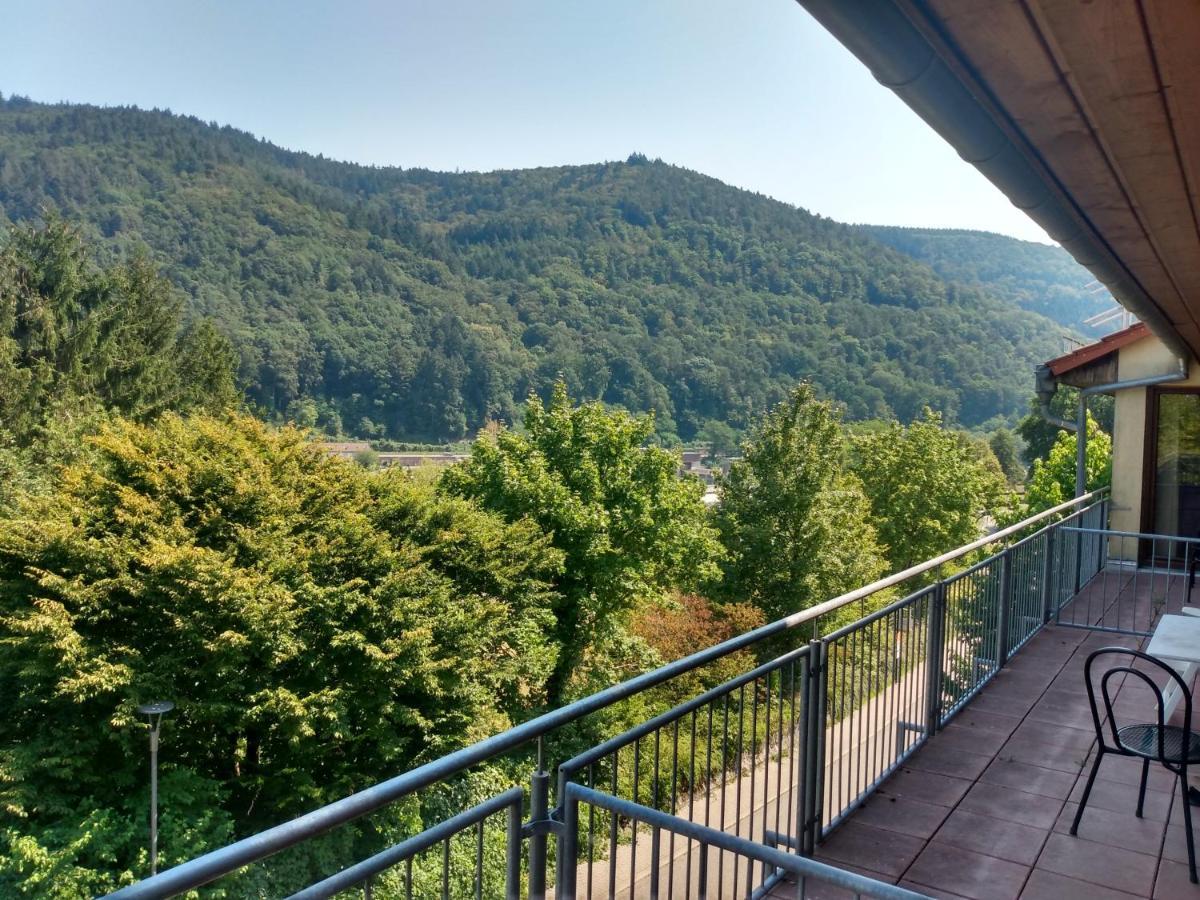 Hotel Zum Neckartal Heidelberg Extérieur photo