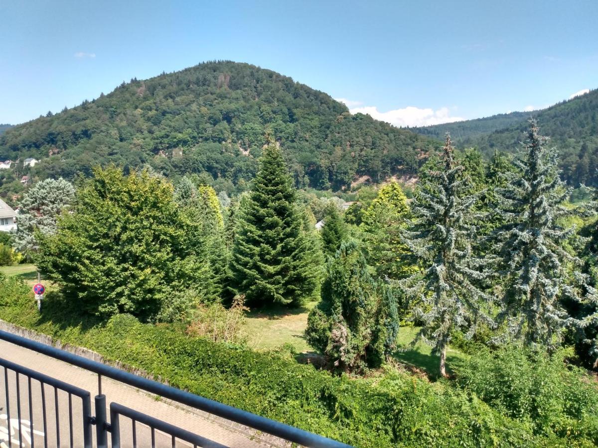 Hotel Zum Neckartal Heidelberg Extérieur photo