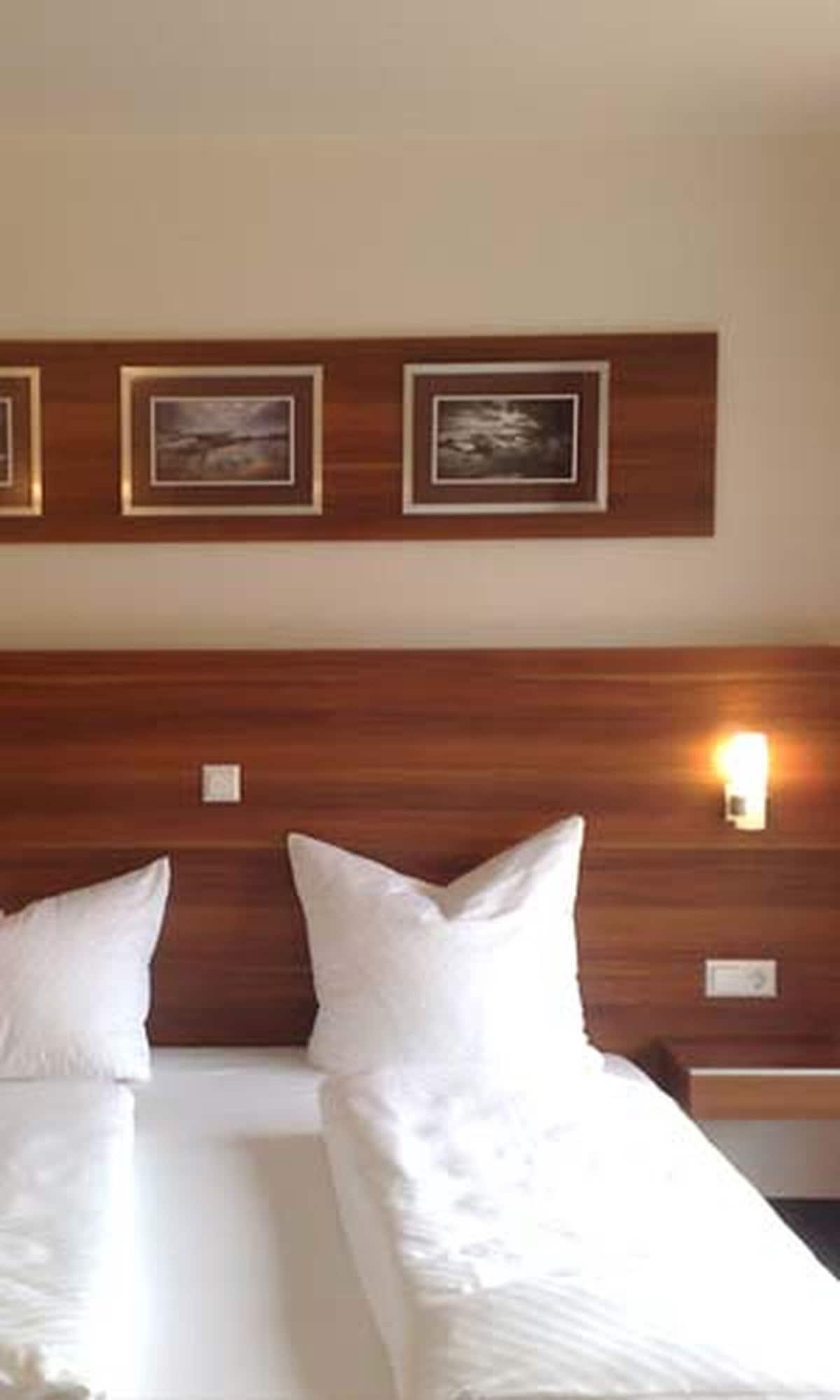 Hotel Zum Neckartal Heidelberg Extérieur photo