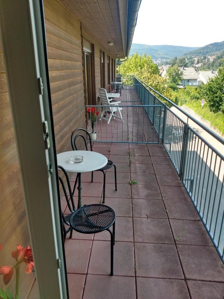 Hotel Zum Neckartal Heidelberg Extérieur photo